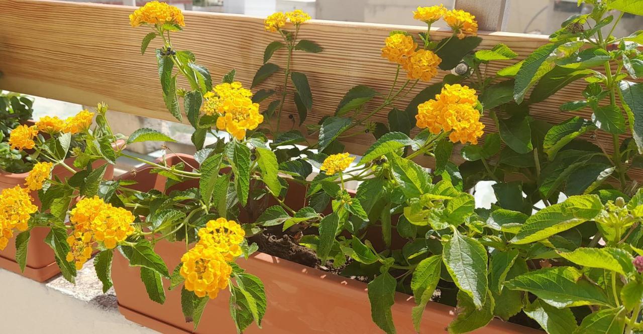 Ramzam - Spacious & Modern 3 Bedroom Apartment With Roof Terrace Marsaskala Exterior foto